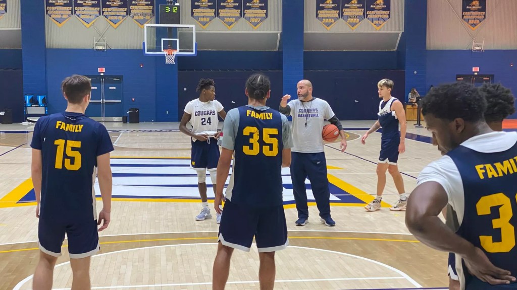 🐾 Panther’s Toothsayer: Averett&nbsp;Cougars